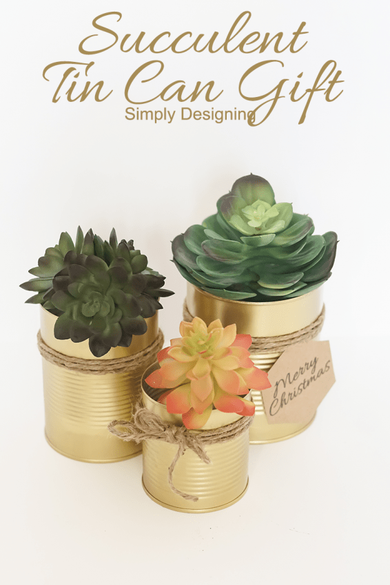 Succulent Tin Can Gift