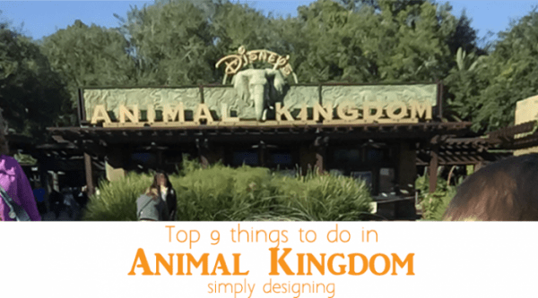 http://www.simplydesigning.net/wp-content/uploads/2015/03/Top-9-things-to-do-in-Animal-Kingdom-featured-image1-600x333.png