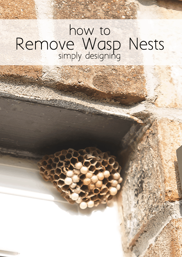 How To Get Rid Of A Wasps Nest Simply Designing With Ashley - Diy Wasp Nest Spray
