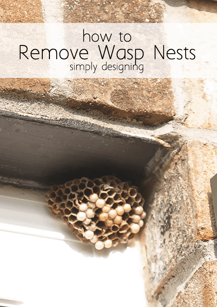How To Get Rid Of A Wasps Nest Simply Designing With Ashley - Diy Wasp Nest Spray How To Get Rid Of A Wasps Nest Simply Designing With Ashley - Diy Wasp Nest Spray