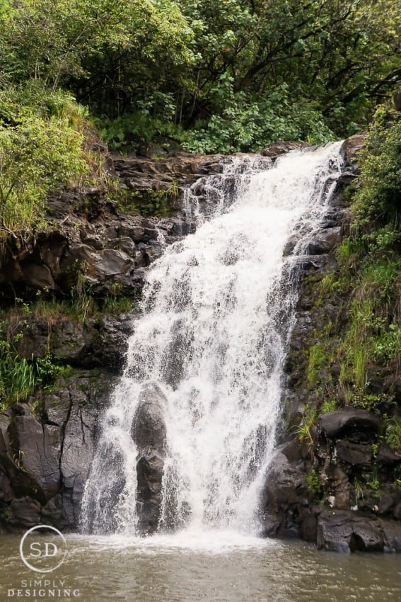 Waimea Valley and Waimea Waterfall