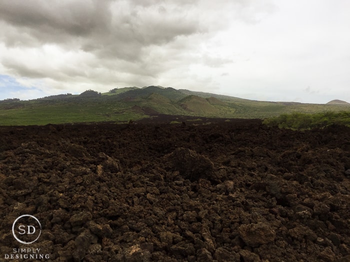 Maui Hawaii - La Perouse - the last lava flow on Maui 