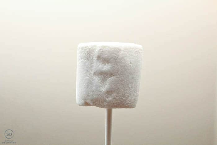 Marshmallow Pop