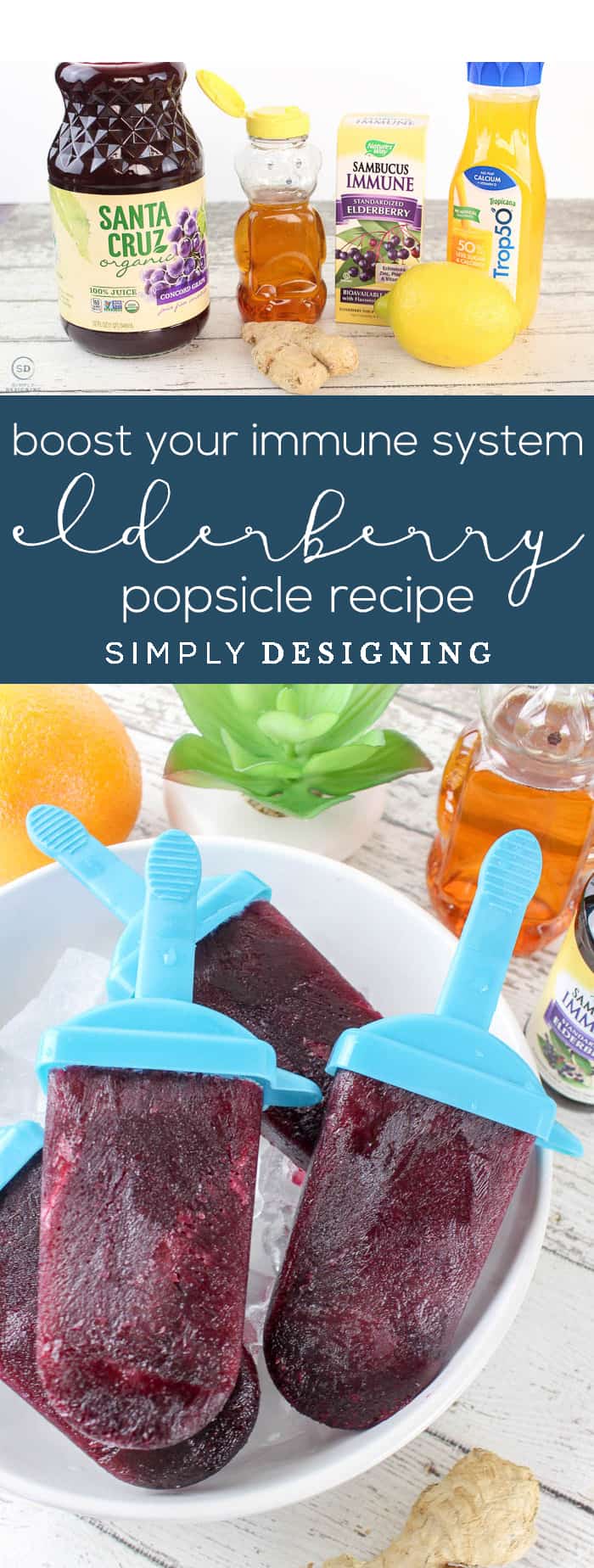 How to Boost Your Immune System with Elderberry Popsicles - a yummy elderberry popsicle recipe