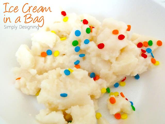 Ice Cream in a Bag 031 | Ice Cream in a Bag | 19 |