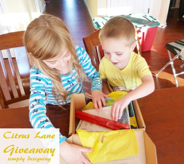 citrus+lane+giveaway1 | Citrus Lane GIVEAWAY #CitrusLane #ad | 2 |