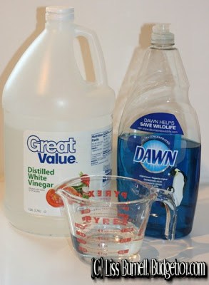dawn+vinegar1 | DIY Soap Scum Remover and Carpet Stain Remover | 19 | fix a broken ipad screen