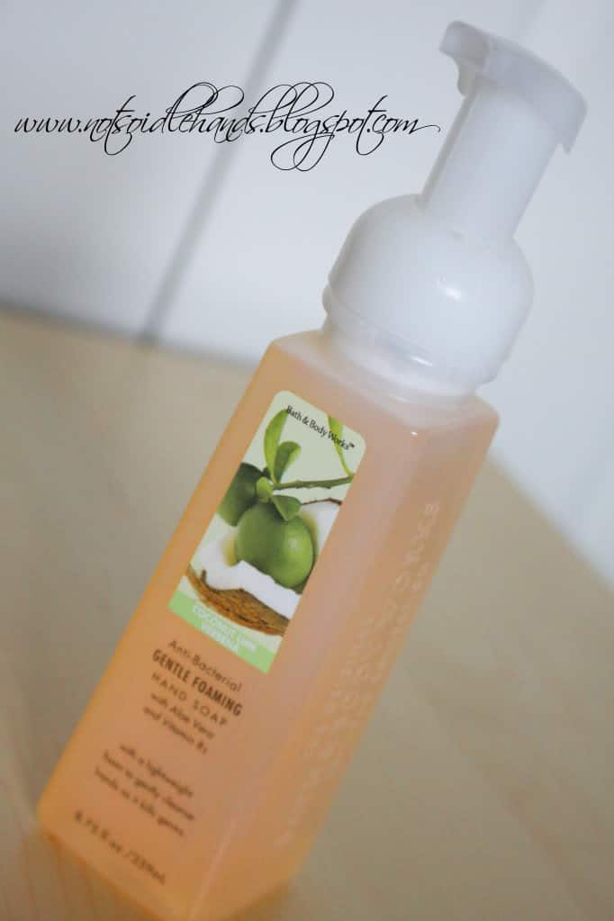 foamsoap038copy1 | Frugalicious Idea - Make your soap last! | 9 |