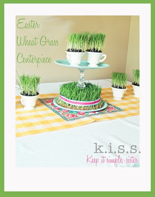 grass11 | Easter Wheat Grass | 14 |
