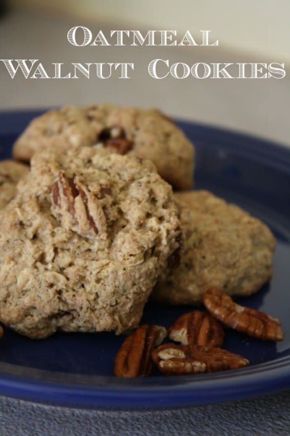 Oatmeal Treat Recipes For Dogs Cesar Millan Oatmeal Treat Recipes For Dogs Cesar Millan