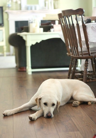 15 + DIY Kitchen Projects 18 New Laminate Flooring