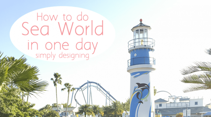 How to do Sea World in one day Featured Image | How to do Sea World in One Day | 14 | New Carpet