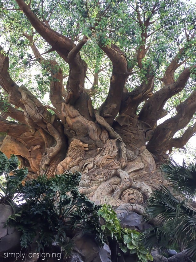 Animal Kingdom Close up of Carvings in the Tree of Life