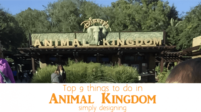 What to do at Legoland Florida 21 Top 9 things to do in Animal Kingdom - featured image