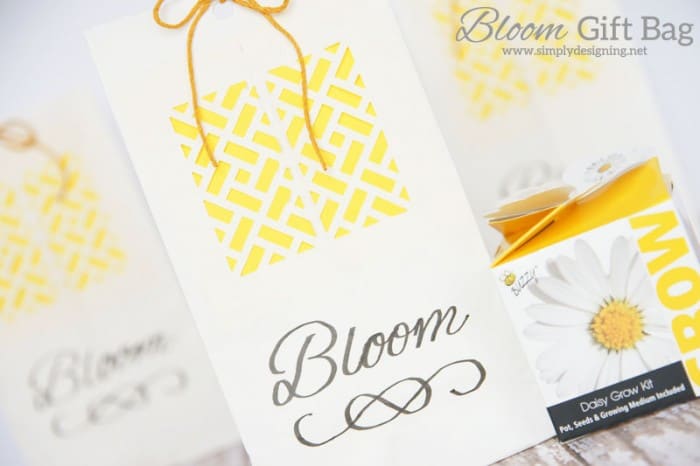 bloom bag close with logo | Bloom Gift Bags | 12 | 4th of July