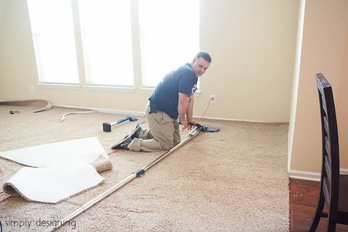 Can Professional Carpet Cleaners Get Out Dog Urine Can Professional Carpet Cleaners Get Out Dog Urine