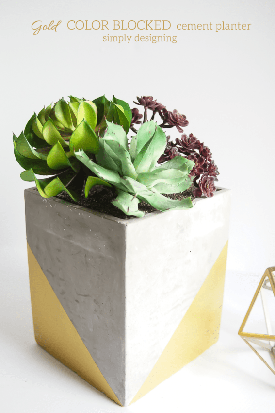 Gold Color Blocked Cement Planter - I love how the gold accent turns a rustic planter into something really beautiful