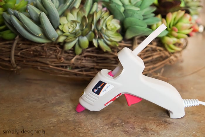 Designing With Succulents Download Pdf Designing With Succulents Download Pdf