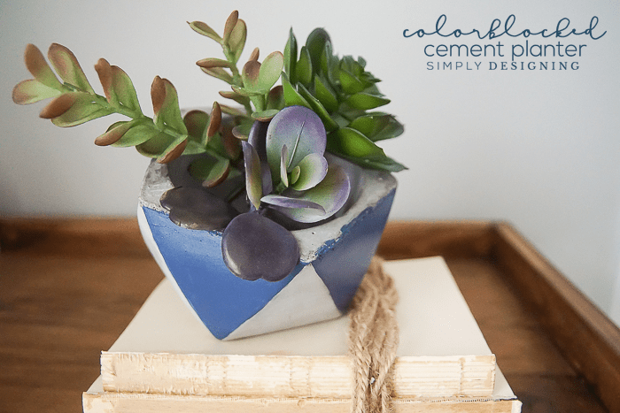 Colorblocked Cement Planter perfect for flowers or succulents | How to Make a Colorblocked Cement Planter | 21 | how to pot a plant